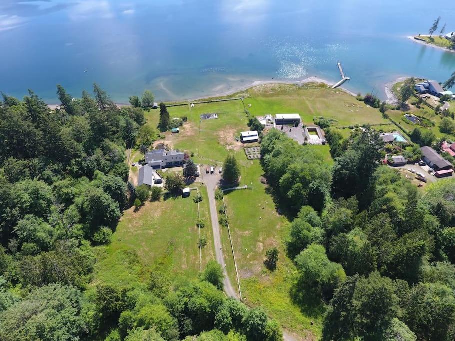 Oceanfront Studio/Loft: Alpacas, Oysters & Kayaks Shelton Εξωτερικό φωτογραφία