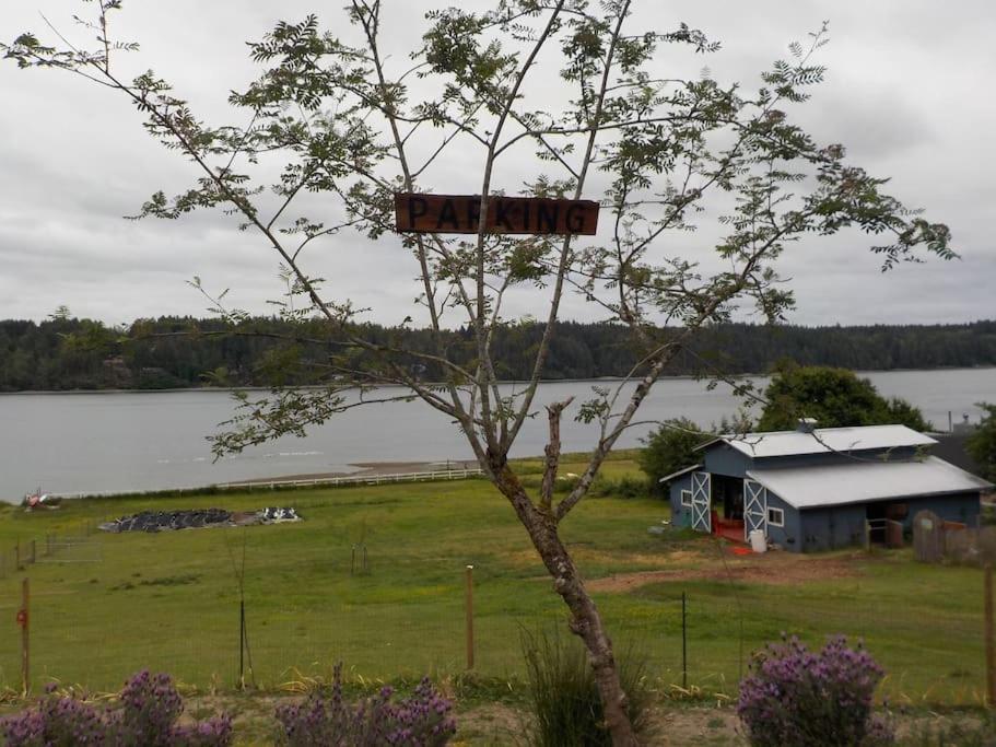Oceanfront Studio/Loft: Alpacas, Oysters & Kayaks Shelton Εξωτερικό φωτογραφία