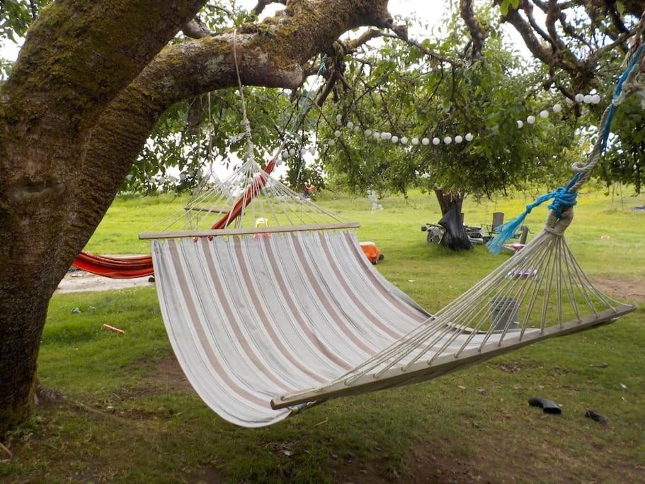 Oceanfront Studio/Loft: Alpacas, Oysters & Kayaks Shelton Εξωτερικό φωτογραφία