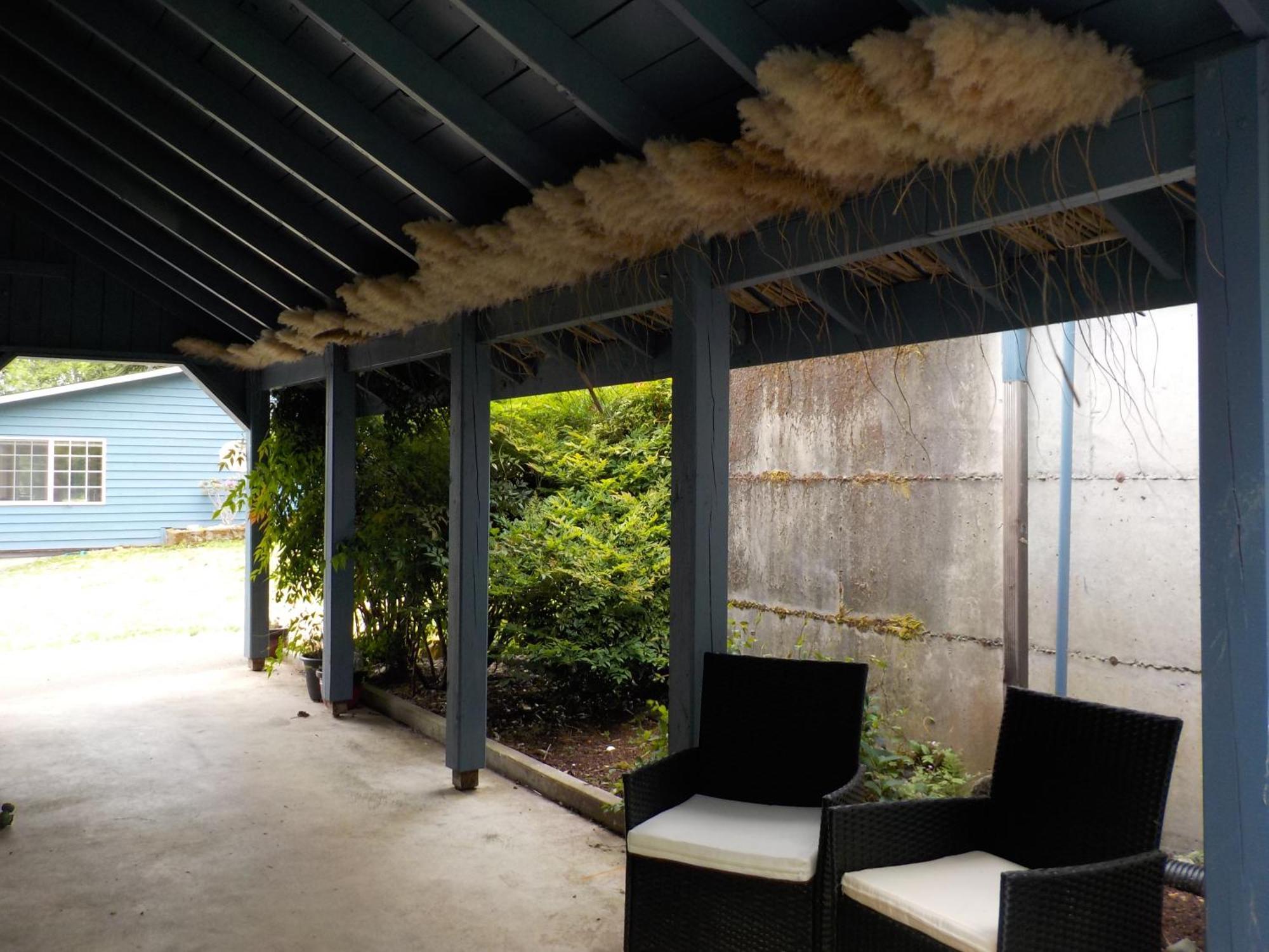 Oceanfront Studio/Loft: Alpacas, Oysters & Kayaks Shelton Εξωτερικό φωτογραφία