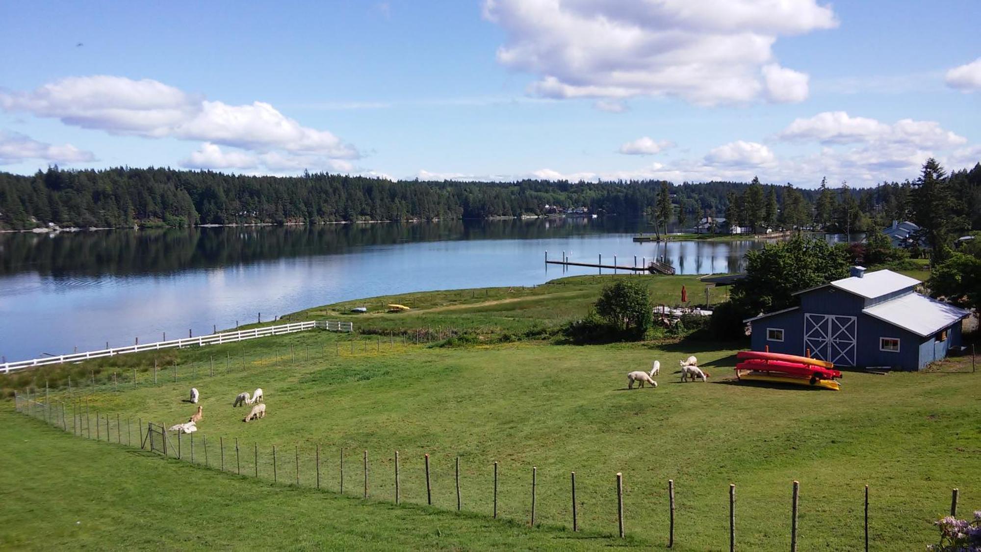 Oceanfront Studio/Loft: Alpacas, Oysters & Kayaks Shelton Εξωτερικό φωτογραφία