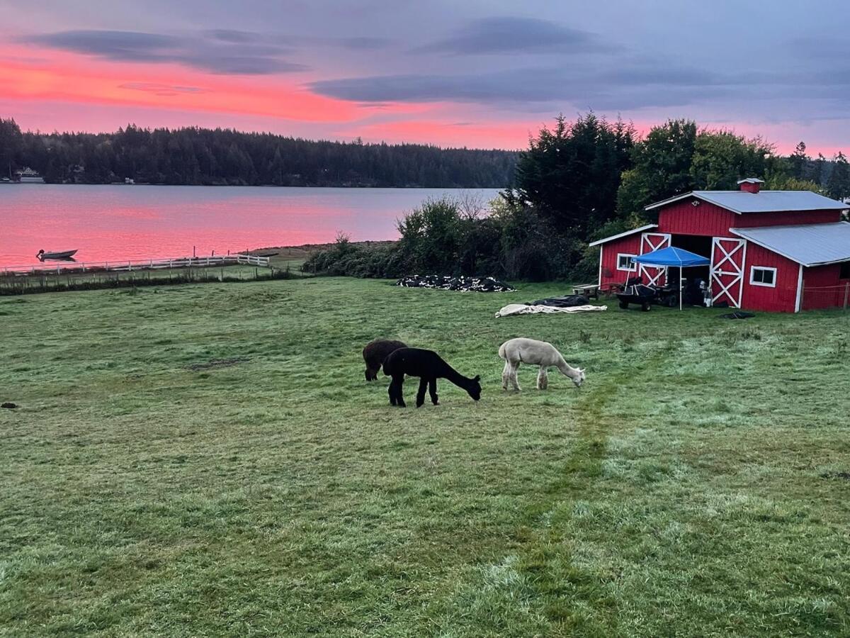 Oceanfront Studio/Loft: Alpacas, Oysters & Kayaks Shelton Εξωτερικό φωτογραφία